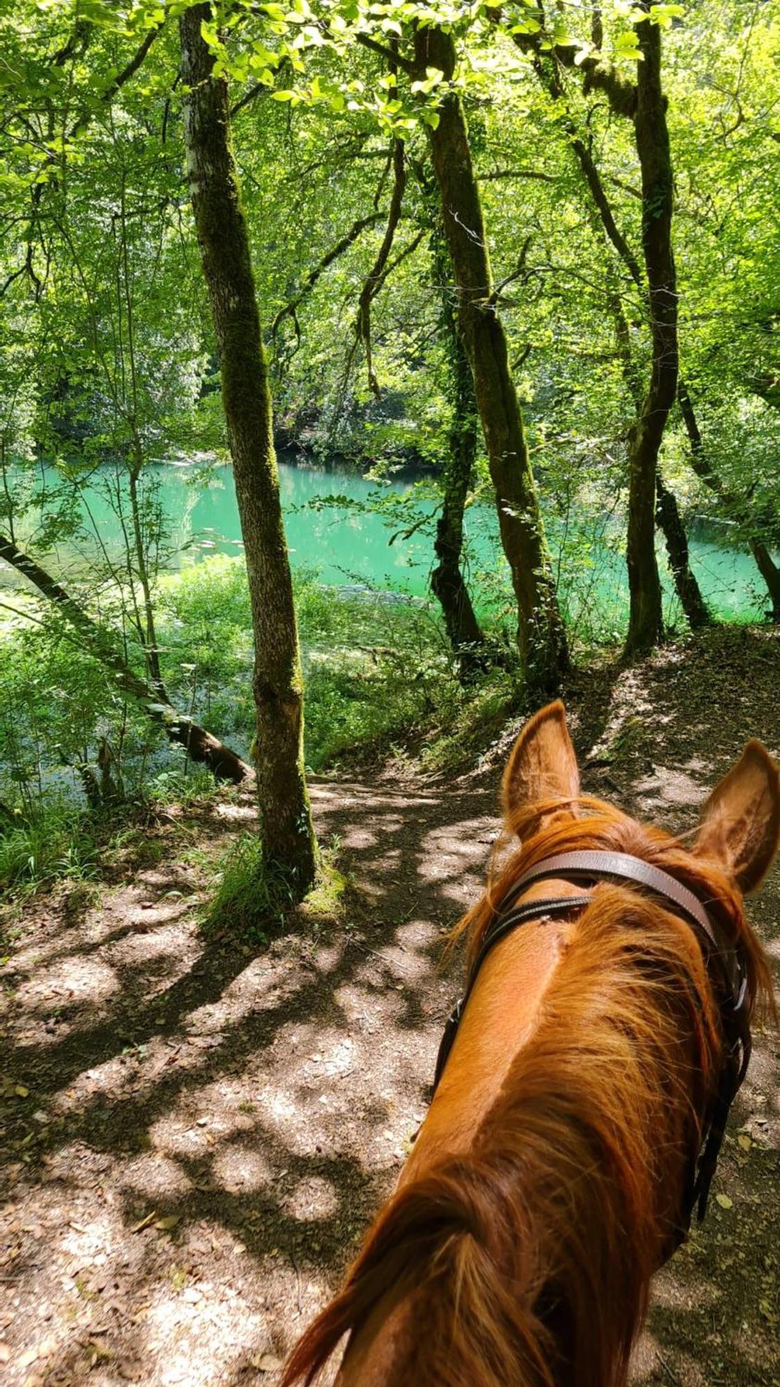 Gites Des Deux Vallees La Borieta Du Causse - Rocamadour Zewnętrze zdjęcie